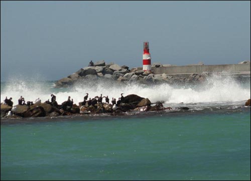 Struisbaai harbour residents